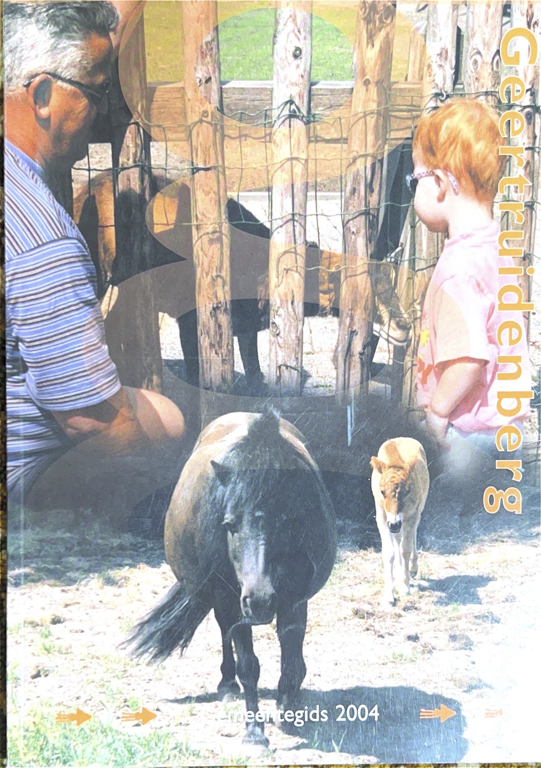 Cover of Gemeentegids 2004
