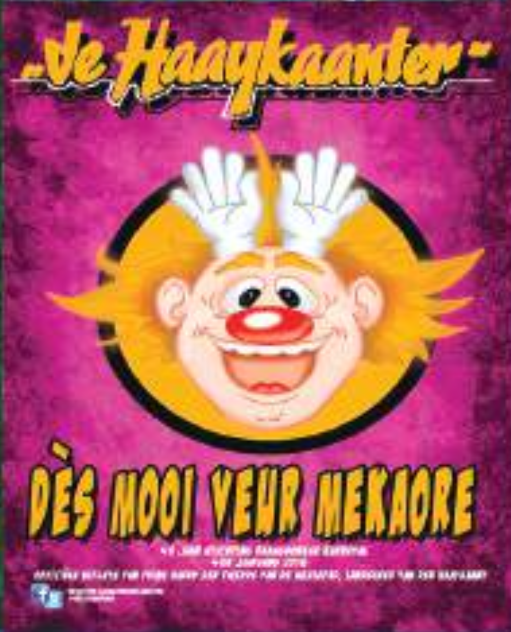 Cover of De Haaykaanter 2013