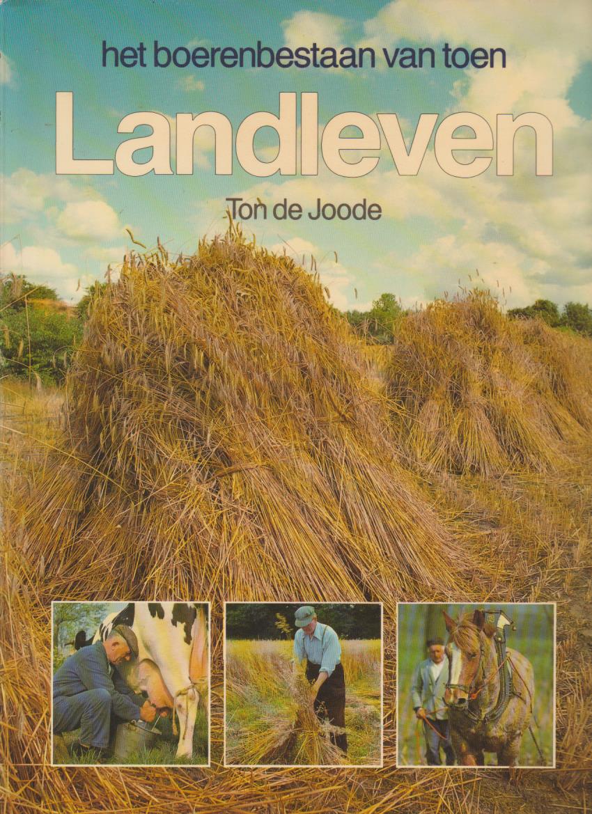 Cover of Landleven