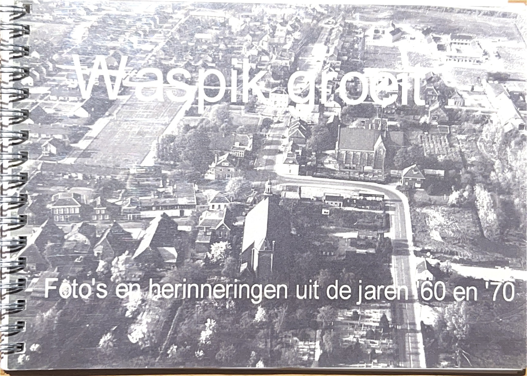 Cover of Waspik Groeit